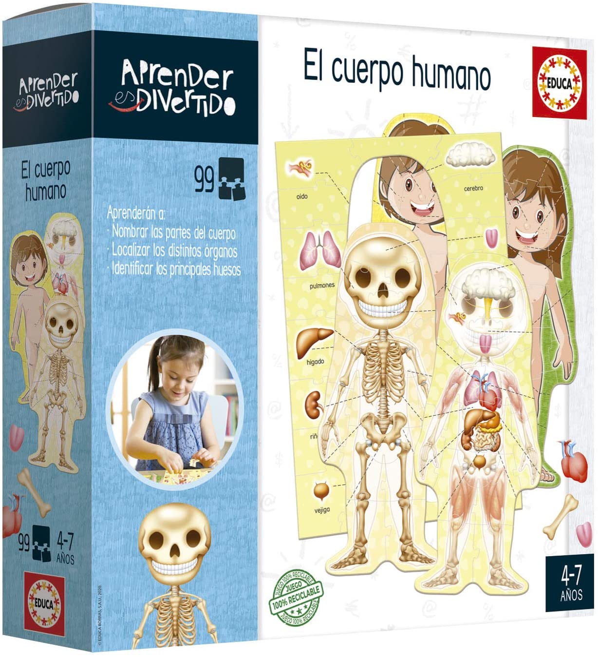 EL CUERPO HUMANO 18701