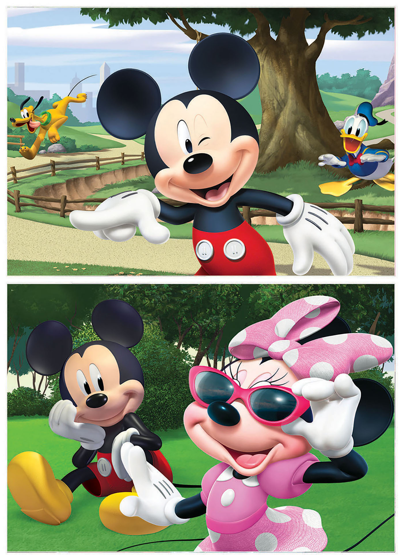 2X20 MICKEY & FRIENDS 18884