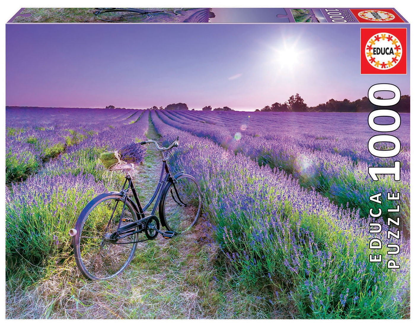 1000 BICICLETA CAMPO LAVANDA 19255