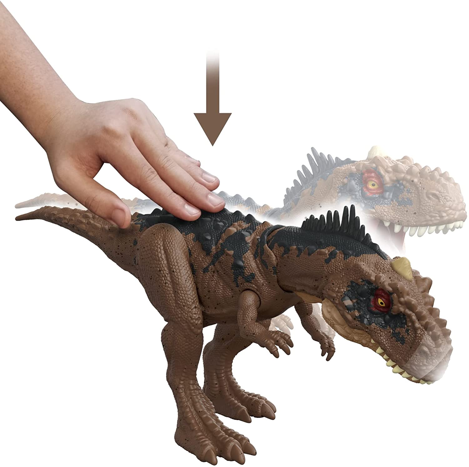JURASSIC WOLD ROAR STRIKERS RAJASAURUS HDX35