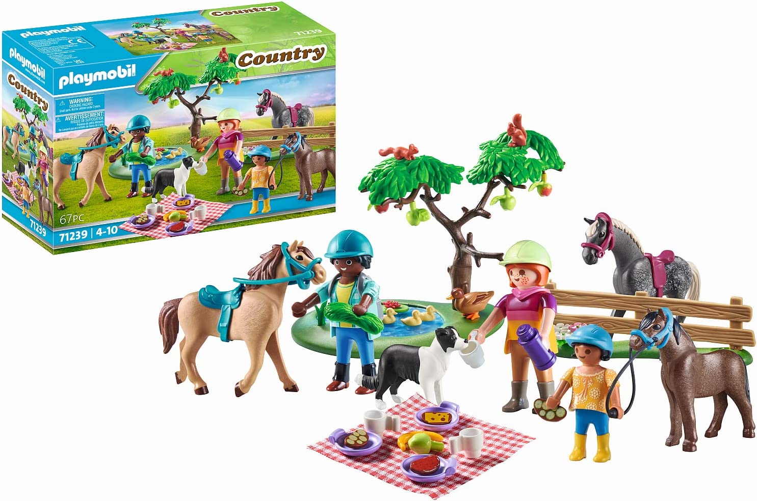 EXCURSION DE PICNIC CON CABALLOS 71239