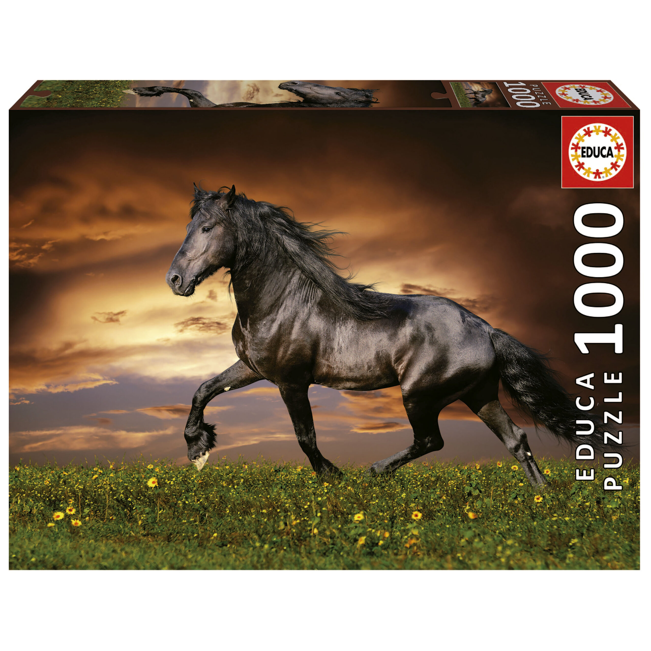 1000 CABALLO AL TROTE 19555
