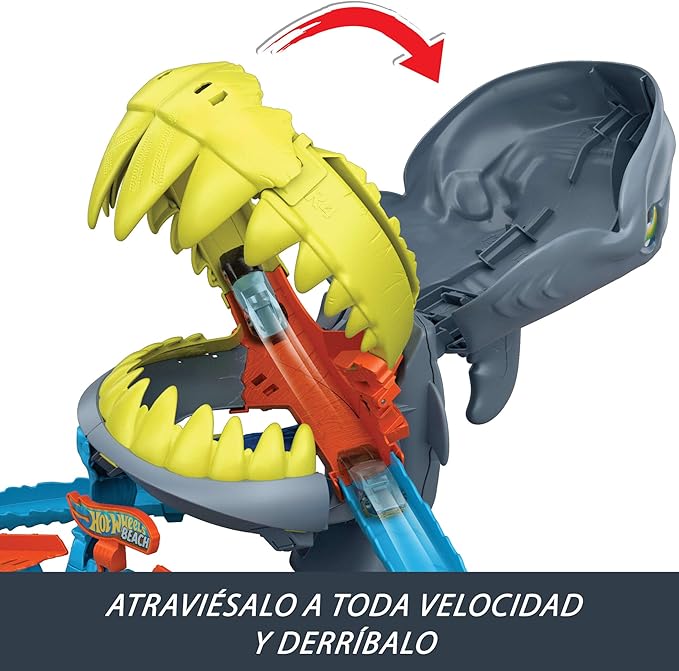 PISTA PLAYA DE BOCA DE TIBURON JHL96 