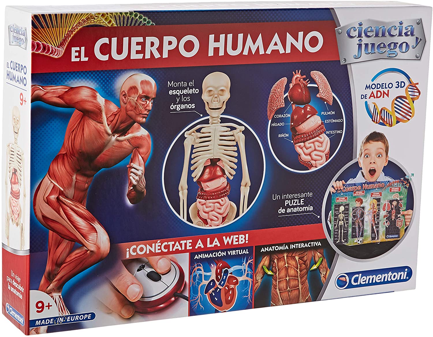 EL CUERPO HUMANO 55089 - N18321