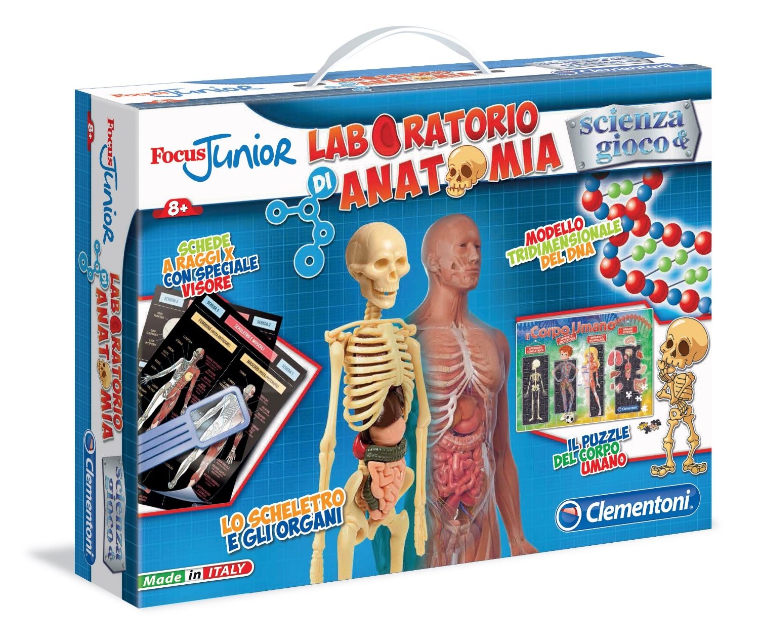 LABORATORIO DE ANATOMIA 55154 V36220
