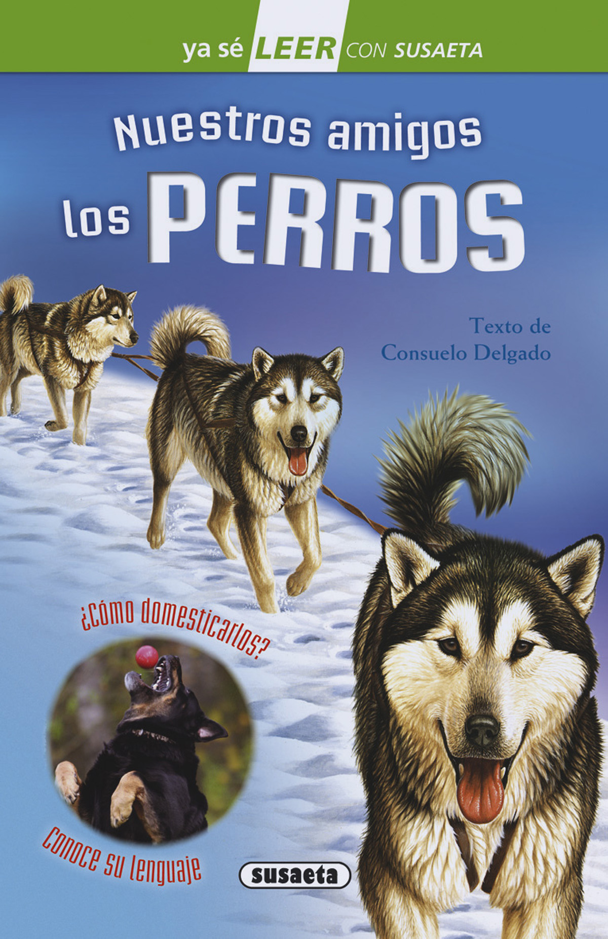 NUESTROS AMIGOS LOS PERROS 2006015